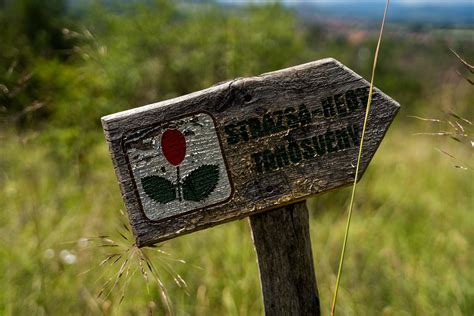 Méhösszehúzódások jelzése