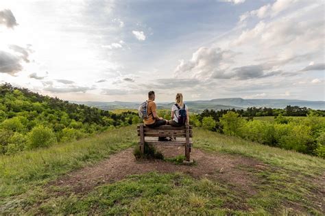 Zöld jelzés a Budai Zöld túra útvonalán