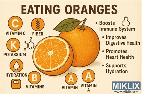 Infografika az árpa egészségügyi előnyeiről