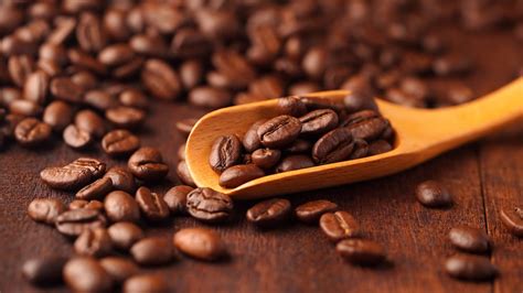 A koffein lebontása a szervezetben