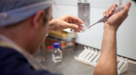 laboratóriumi környezet petesejt tenyésztéshez