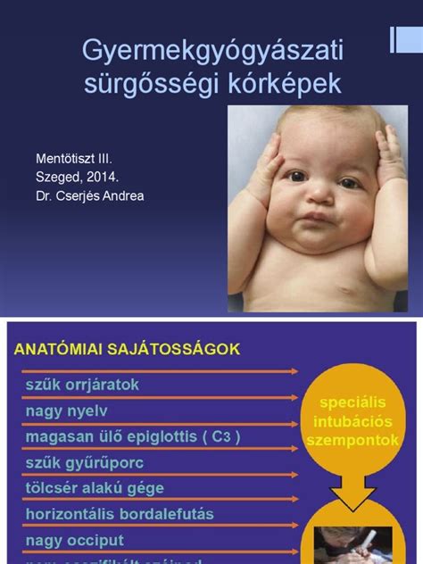 A felnőtt és a csecsemő csontozatának összehasonlítása