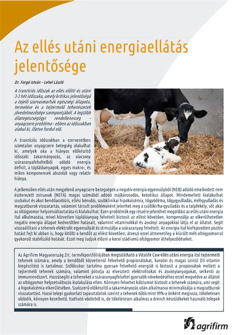 Kutyatemperatúra-grafikon az ellés előrejelzéséhez