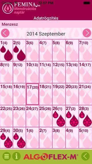 Naptár a menstruációs ciklus szakaszainak ábrázolásával