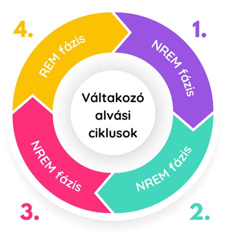 Baba alvási ciklusok ábrája