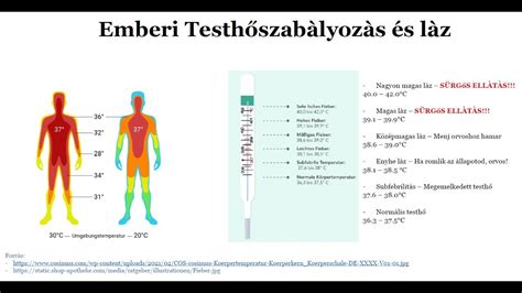infografika a lázmérés helyes technikáiról