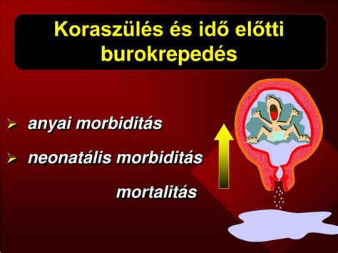 Idő előtti burokrepedés