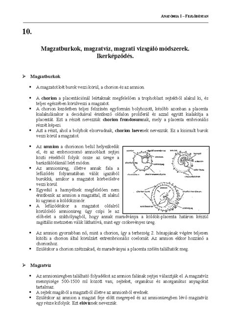 Magzatburok és magzatvíz