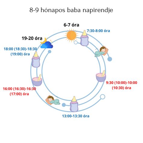 A 11 hónapos baba alvási ciklusa és ébrenléti ideje