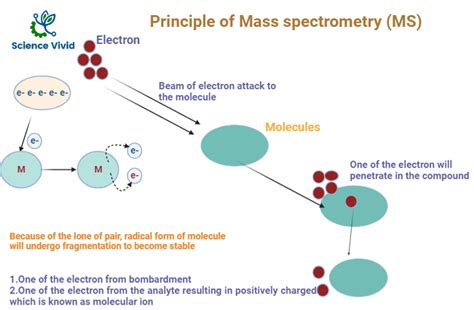 Mass Spectrometry (MS) készülék