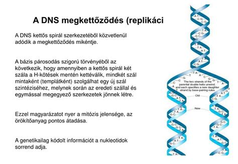 DNS szál és molekuláris diagnosztika