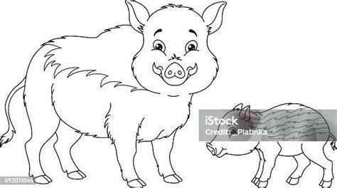 Illusztráció a vaddisznó illatosító spray és a fotométer használatáról