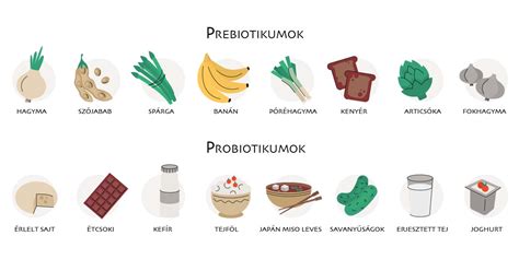 Probiotikumok és prebiotikumok