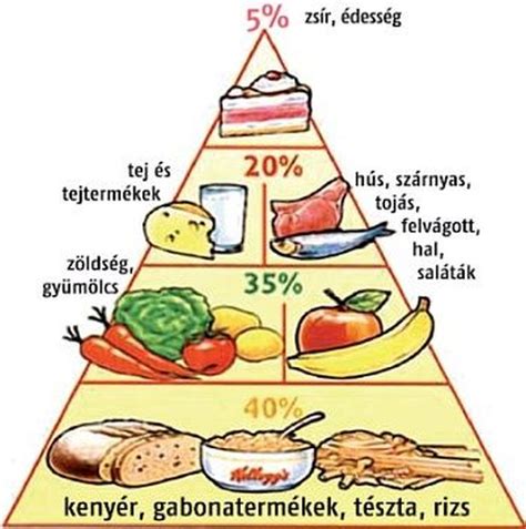 Táplálkozási piramis gyermekeknek