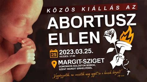 A műtéti abortusz folyamatának illusztrációja