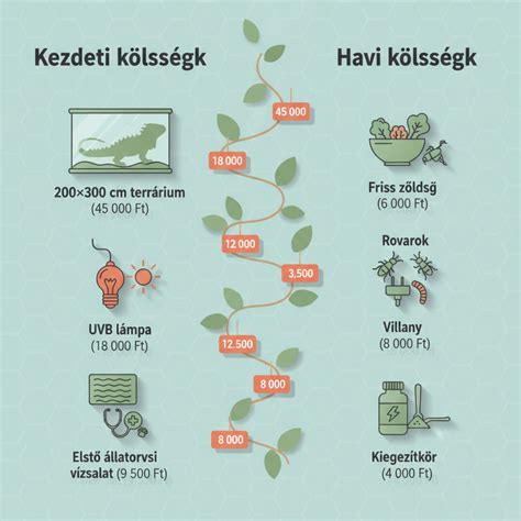 Infografika a terhességmegszakítás költségeiről és kedvezményeiről