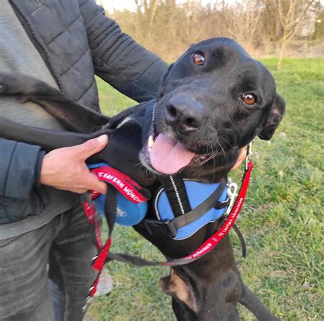 Baba, aki koncentráltan figyel egy forgóra