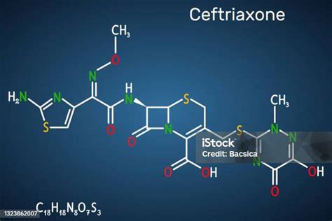 Cefalosporin antibiotikumok szerkezete
