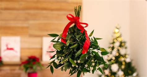 A fagyöngy karácsonyi díszként