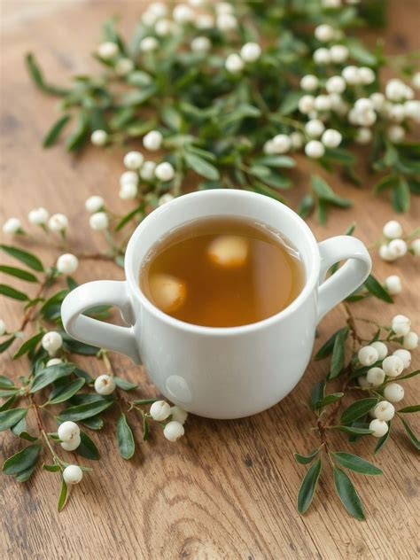A fagyöngy tea elkészítése