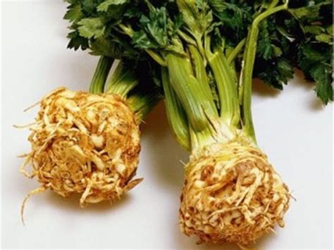 Zeller növény és részei