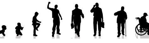 Az emberi fejlődés különböző stádiumai