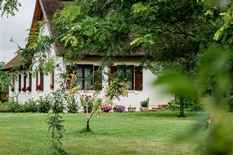 kép a körömvirágról és egy babáról