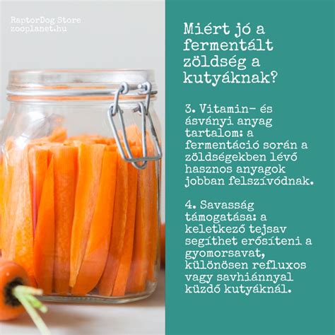 Nitráttartalom a zöldségekben