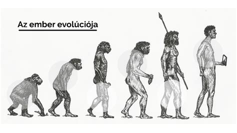 Az emberi fejlődés ábrázolása az anyaméhben