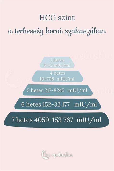 A hCG hormon szintjének növekedése a terhesség korai szakaszában