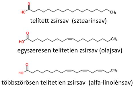 CLA zsírsav szerkezete