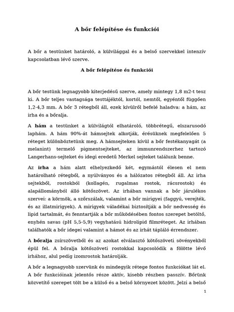 A méhlepény felépítése és funkciói